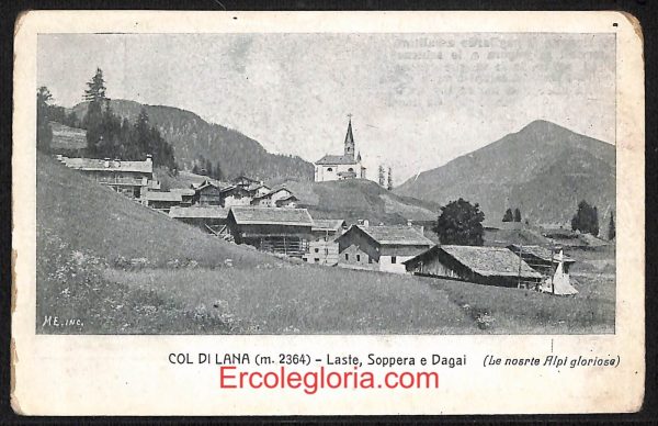 ae1008 - CARTOLINA  D'EPOCA - Belluno Citta - Panorama