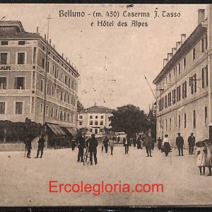 ae1017 - CARTOLINA  D'EPOCA - Belluno Citta - Hotel des Aipes