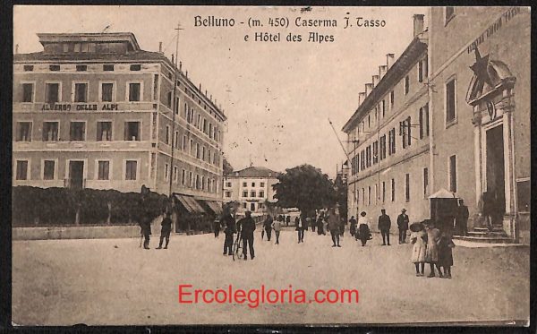 ae1017 - CARTOLINA  D'EPOCA - Belluno Citta - Hotel des Aipes