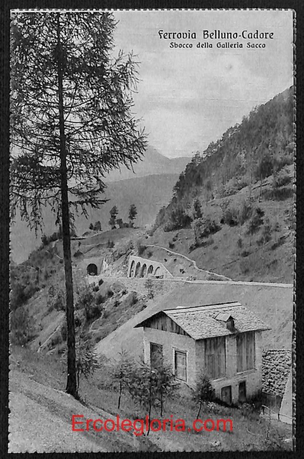 ae0978 - CARTOLINA  D'EPOCA - Belluno Citta - Ferrovia