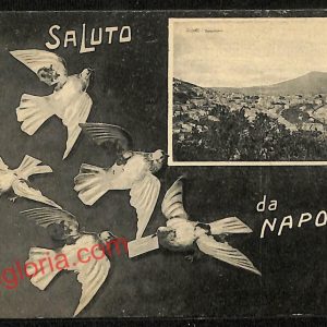 ag9905 - CARTOLINE D'EPOCA - Napoli Citta - Panorama