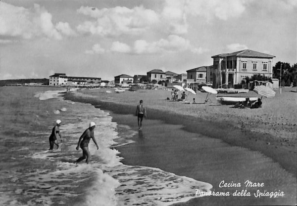 ac7841 - CARTOLINA D'EPOCA - Livorno Provincia - Cecina