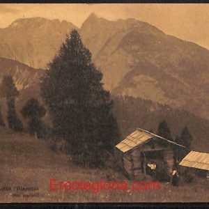 ae1094 - CARTOLINA  D'EPOCA - Belluno Provincia - Cadore