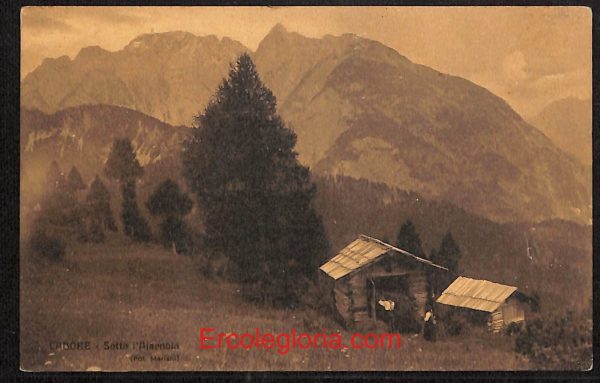 ae1094 - CARTOLINA  D'EPOCA - Belluno Provincia - Cadore