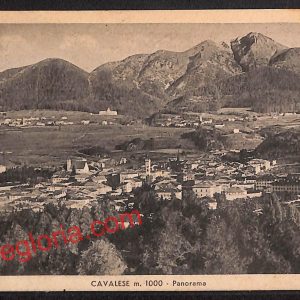 ai9607 - CARTOLINA D'EPOCA - Trento Provincia - Cavalese