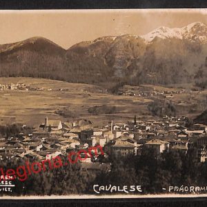 ai9611 - CARTOLINA D'EPOCA - Trento Provincia - Cavalese
