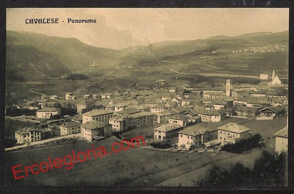 ai9614 - CARTOLINA D'EPOCA - Trento Provincia - Cavalese