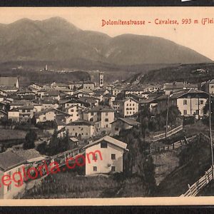 ai9616 - CARTOLINA D'EPOCA - Trento Provincia - Cavalese