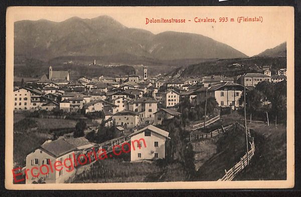 ai9616 - CARTOLINA D'EPOCA - Trento Provincia - Cavalese