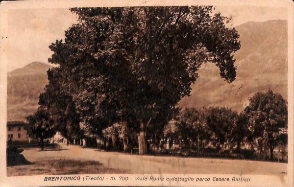 ab5572 - CARTOLINA  D'EPOCA - Trento Provincia : BRENTONICO 1942