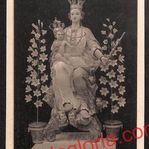 ai9655 - CARTOLINA D'EPOCA - Trento Provincia - Fiera di Primiero