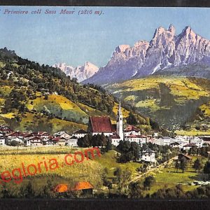 ai9656 - CARTOLINA D'EPOCA - Trento Provincia - Fiera di Primiero