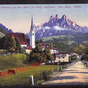 ai9661 - CARTOLINA D'EPOCA - Trento Provincia - Fiera di Primiero