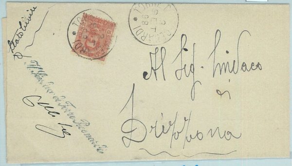 68556 - ITALIA REGNO - STORIA POSTALE: Busta da TORRE DE' PICENARDI - 1898