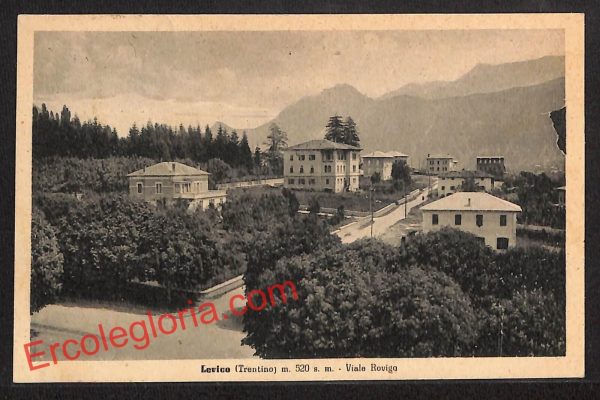 ai9680 - CARTOLINA D'EPOCA - Trento Provincia - Levico Terme