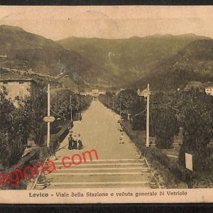 ai9683 - CARTOLINA D'EPOCA - Trento Provincia - Levico Terme