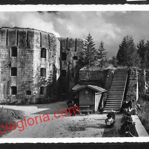 ai9694 - CARTOLINA D'EPOCA - Trento Provincia - Lavarone