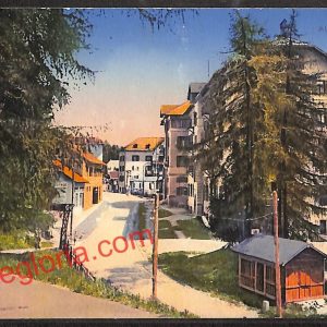 ai9698 - CARTOLINA D'EPOCA - Trento Provincia - Mendola