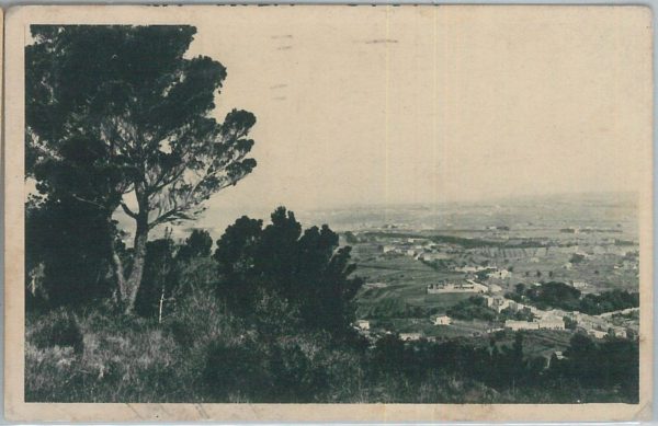 73515  - CARTOLINA d'Epoca: LIVORNO Città - Montenero