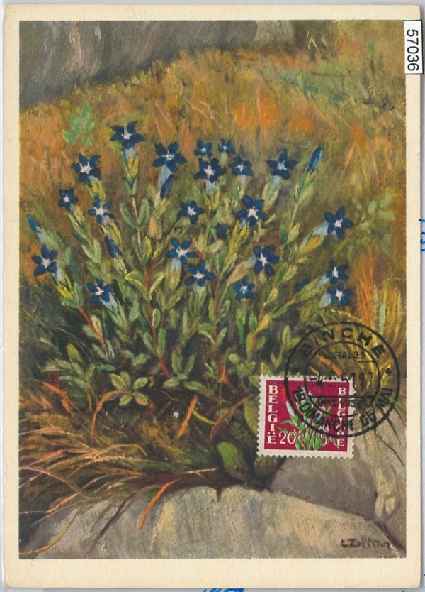57036 - BELGIUM - POSTAL HISTORY: MAXIMUM CARD 1951 - FLOWERS