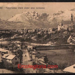 ae0993 - CARTOLINA  D'EPOCA - Belluno Citta - Panorama  1917