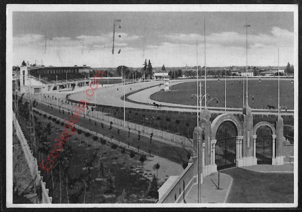 ae2492 - CARTOLINA  D'EPOCA - Bologna Città - Nuovo Ippodromo dell' Arcoveggio