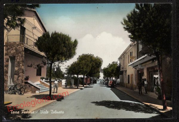 ag0383 - CARTOLINA D'EPOCA - Forlì Città - Viale Tolmetta