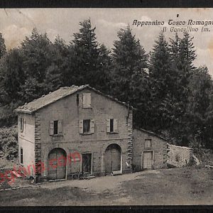 ag0407 - CARTOLINA D'EPOCA - Forlì Città - Appennino Tosco - Romagnolo