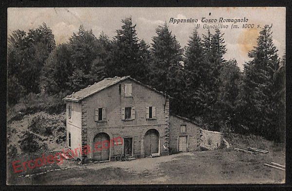 ag0407 - CARTOLINA D'EPOCA - Forlì Città - Appennino Tosco - Romagnolo