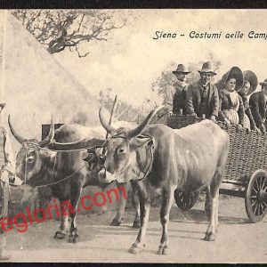 ai5386 - CARTOLINA D'EPOCA - Siena Città - Costumi delle Campagne