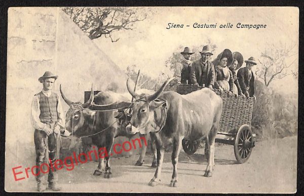 ai5386 - CARTOLINA D'EPOCA - Siena Città - Costumi delle Campagne