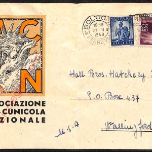 ae2511 - CARTOLINA  D'EPOCA- Bologna Città- Associazione AVI Cunicola Nazionale