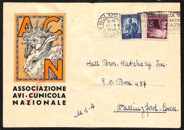 ae2511 - CARTOLINA  D'EPOCA- Bologna Città- Associazione AVI Cunicola Nazionale