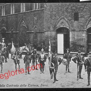 ai5398 - CARTOLINA D'EPOCA - Siena Città - Comparsa della Contrada della Tartuca