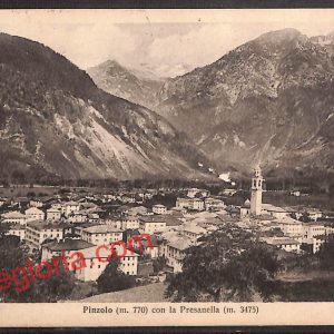 ai9730 - CARTOLINA D'EPOCA - Trento Provincia - Pinzolo