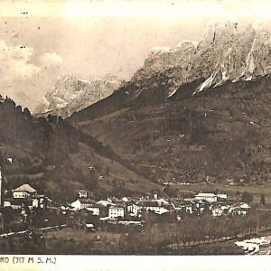 ab5664 - CARTOLINA  D'EPOCA - Trento Provincia :  FIERA DI PRIMIERO