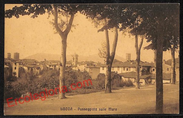 ag6081 - CARTOLINA D'EPOCA - Lucca Città - Passeggiata sulle Mura