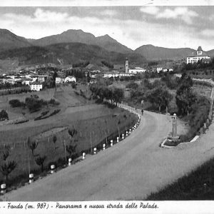 ab5674 - CARTOLINA  D'EPOCA - Trento Provincia :  FONDO