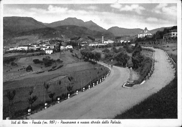 ab5674 - CARTOLINA  D'EPOCA - Trento Provincia :  FONDO