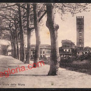 ag6084 - CARTOLINA D'EPOCA - Lucca Città - Viale delle Mura