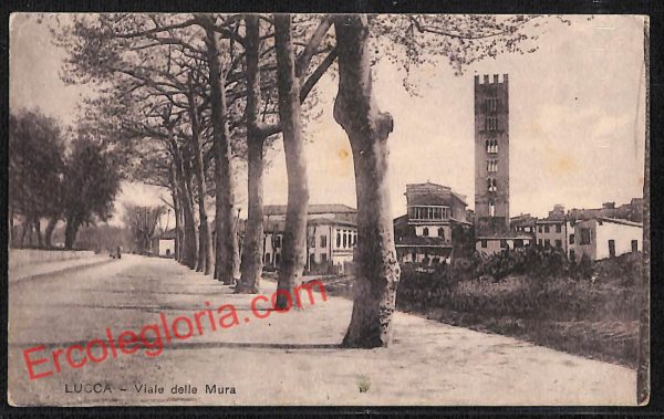 ag6084 - CARTOLINA D'EPOCA - Lucca Città - Viale delle Mura