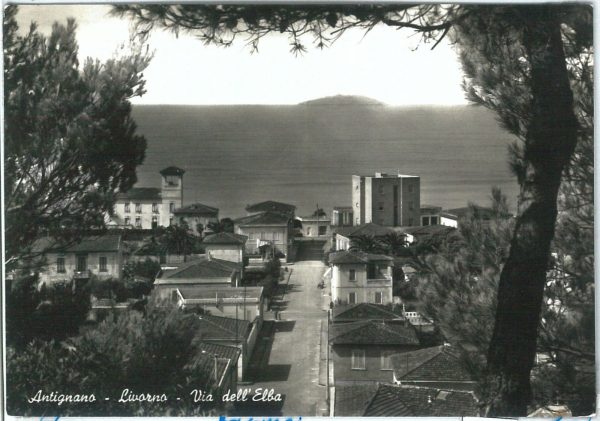 73517  - CARTOLINA d'Epoca: LIVORNO provincia -   ANTIGNANO