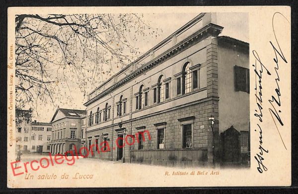 ag6093 - CARTOLINA D'EPOCA - Lucca Città - R. Istituto di Belle Arti