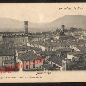 ag6115 - CARTOLINA D'EPOCA - Lucca Città - Panorama  1903