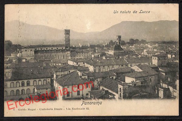 ag6115 - CARTOLINA D'EPOCA - Lucca Città - Panorama  1903