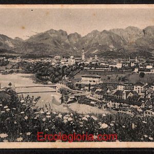 ae0998 - CARTOLINA  D'EPOCA - Belluno Citta - Panorama e Fiume Piave