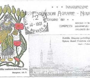 CARTOLINA d'Epoca - NOVARA Città: Commemorativa ESPOSIZIONI AGRARIE  1901